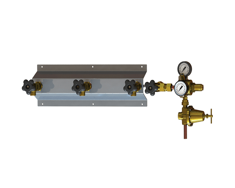 Manifold Económico